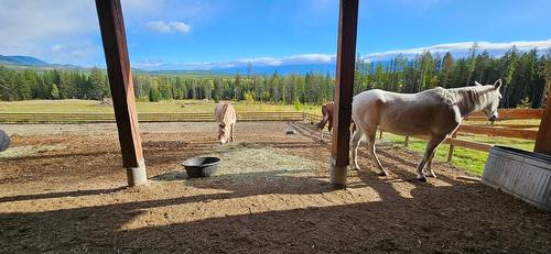 1796 Meadowbrook Settlement Road, Kimberley, BC - Outdoor With View