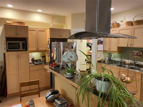 7-912 Slocan Street, Slocan, BC - Indoor Photo Showing Kitchen With Double Sink