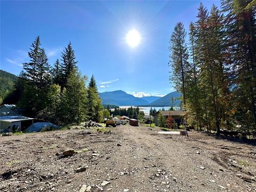 411 Bayview Road, Nakusp, BC - Outdoor With View