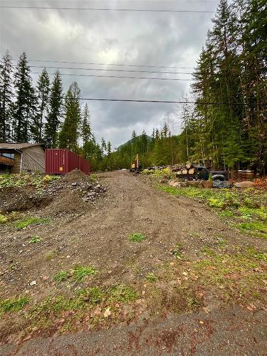 411 Bayview Road, Nakusp, BC - Outdoor