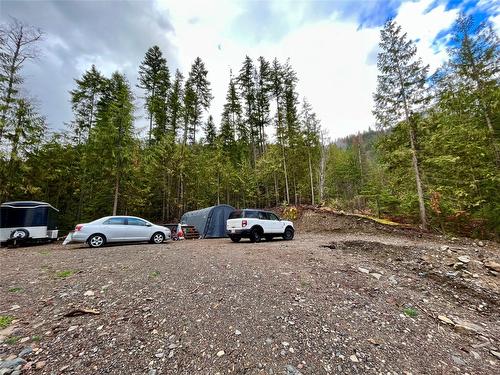 411 Bayview Road, Nakusp, BC - Outdoor