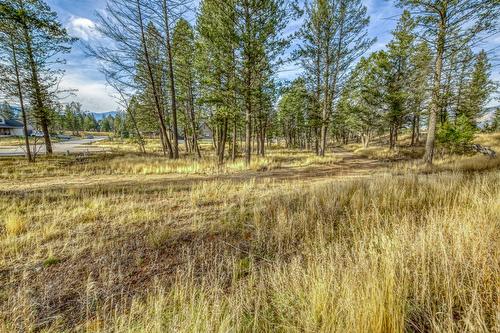 Lot 51 Pedley Heights, Windermere, BC - Outdoor With View