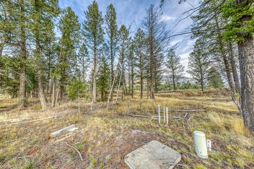 Lot 51 Pedley Heights, Windermere, BC - Outdoor With View