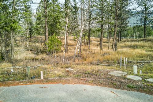 Lot 51 Pedley Heights, Windermere, BC - Outdoor With View