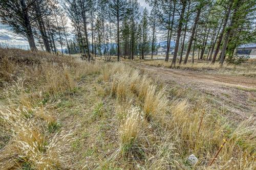 Lot 51 Pedley Heights, Windermere, BC - Outdoor With View