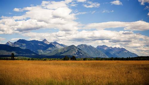 8285 Olson Road, Ta Ta Creek, BC - Outdoor With View