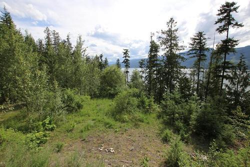 5959  23 Highway, Nakusp, BC - Outdoor With View