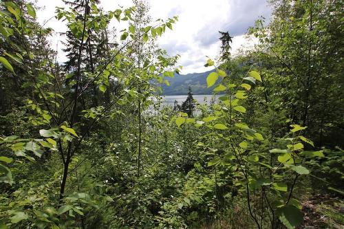 5959  23 Highway, Nakusp, BC - Outdoor With Body Of Water With View