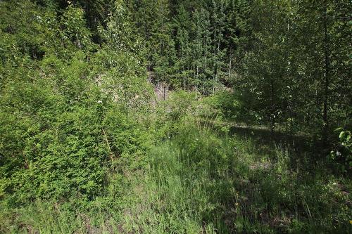 5959  23 Highway, Nakusp, BC - Outdoor