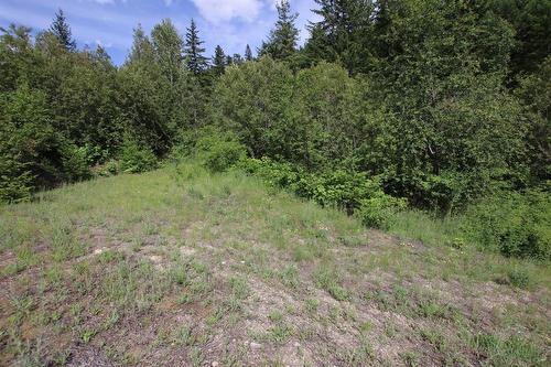 5959  23 Highway, Nakusp, BC - Outdoor