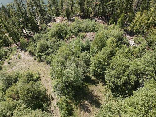 5959  23 Highway, Nakusp, BC - Outdoor With View