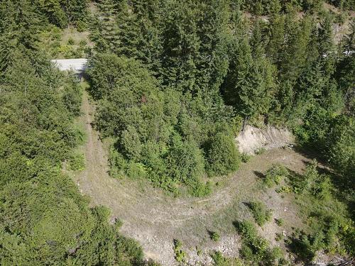 5959  23 Highway, Nakusp, BC - Outdoor With View