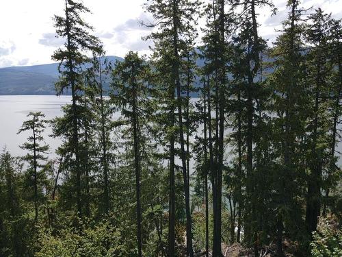 5959  23 Highway, Nakusp, BC - Outdoor With Body Of Water With View