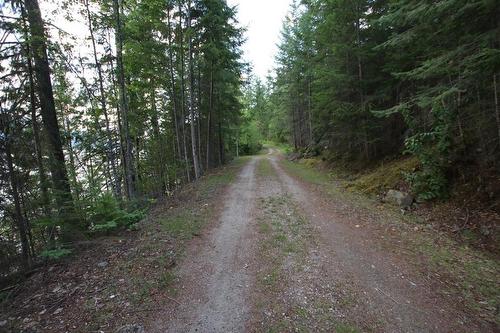 5621  23 Highway, Nakusp, BC 