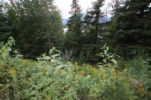 5621  23 Highway, Nakusp, BC 