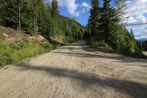 5621  23 Highway, Nakusp, BC 