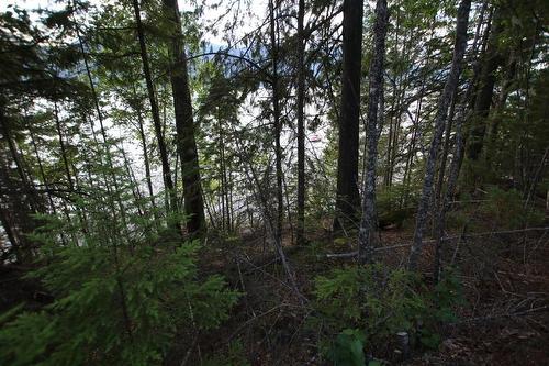 5621  23 Highway, Nakusp, BC 