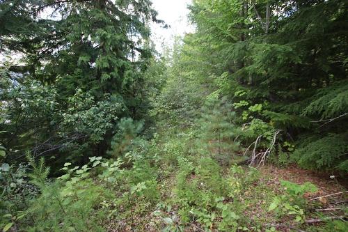 5621  23 Highway, Nakusp, BC 