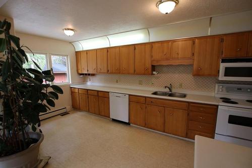 217 6Th Street, Nakusp, BC - Indoor Photo Showing Kitchen With Double Sink