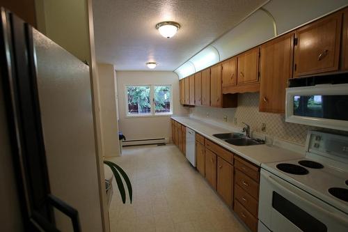 217 6Th Street, Nakusp, BC - Indoor Photo Showing Kitchen With Double Sink