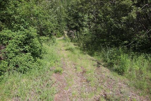 Lot B  23 Highway, Nakusp, BC - Outdoor