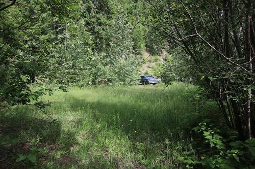 Lot B  23 Highway, Nakusp, BC - Outdoor