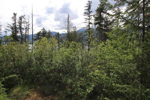 Lot B  23 Highway, Nakusp, BC - Outdoor With View