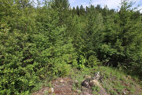 Lot B  23 Highway, Nakusp, BC - Outdoor