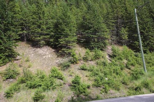 Lot B  23 Highway, Nakusp, BC - Outdoor