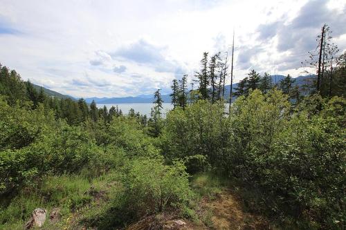 Lot B  23 Highway, Nakusp, BC - Outdoor With Body Of Water With View