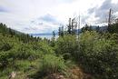 Lot B  23 Highway, Nakusp, BC  - Outdoor With Body Of Water With View 