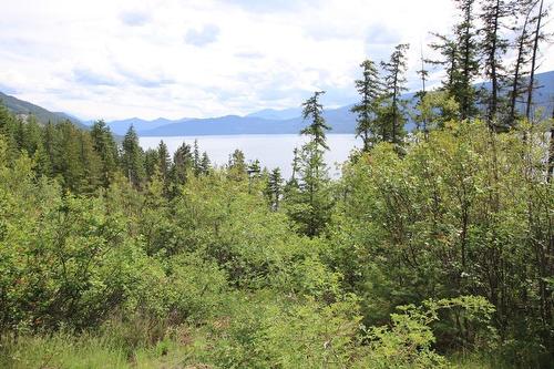 Lot B  23 Highway, Nakusp, BC - Outdoor With Body Of Water With View