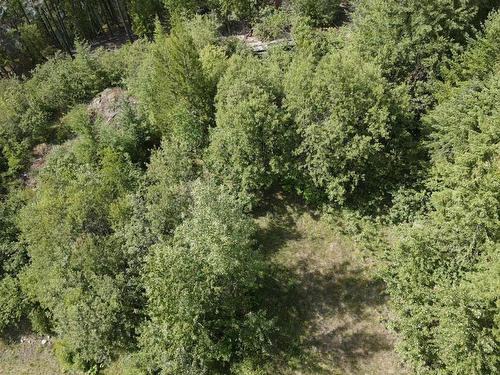 Lot B  23 Highway, Nakusp, BC - Outdoor