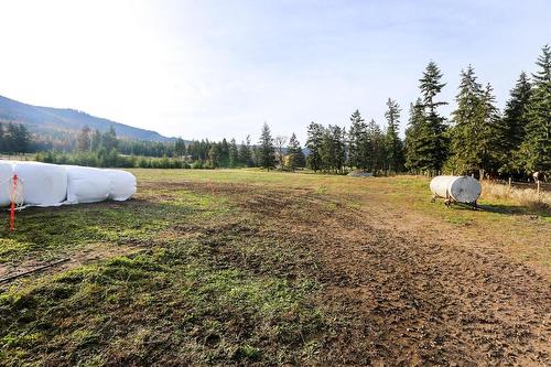 4598 Cedar Hill Road, Falkland, BC - Outdoor With View