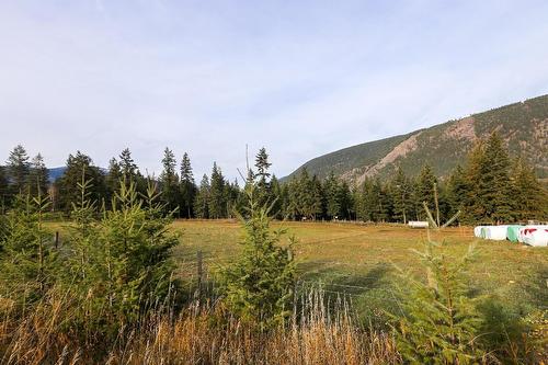 4598 Cedar Hill Road, Falkland, BC - Outdoor With View