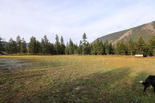 4598 Cedar Hill Road, Falkland, BC - Outdoor With View