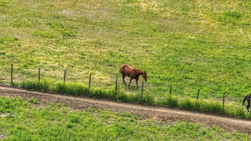 4598 Cedar Hill Road, Falkland, BC - Outdoor