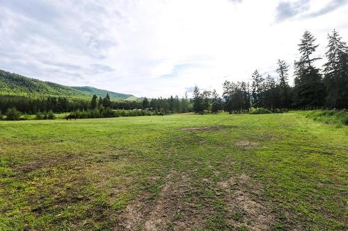 4598 Cedar Hill Road, Falkland, BC - Outdoor With View