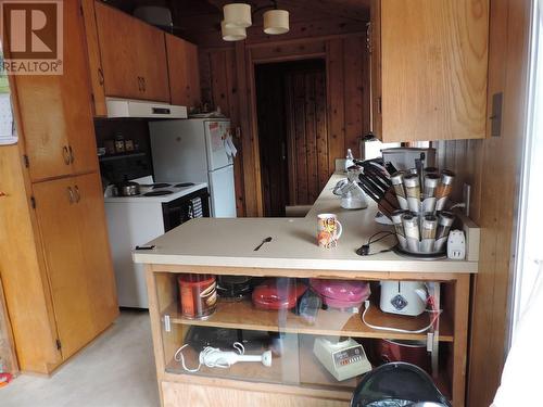 508 Nelson Avenue N, Nakusp, BC - Indoor Photo Showing Kitchen