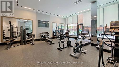 317 - 250 Lawrence Avenue W, Toronto, ON - Indoor Photo Showing Gym Room