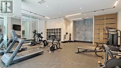 317 - 250 Lawrence Avenue W, Toronto, ON - Indoor Photo Showing Gym Room