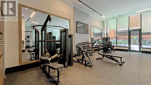 317 - 250 Lawrence Avenue W, Toronto, ON - Indoor Photo Showing Gym Room