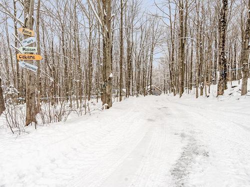 ExtÃ©rieur - 61Z Ch. Bonnaly, Orford, QC - Outdoor