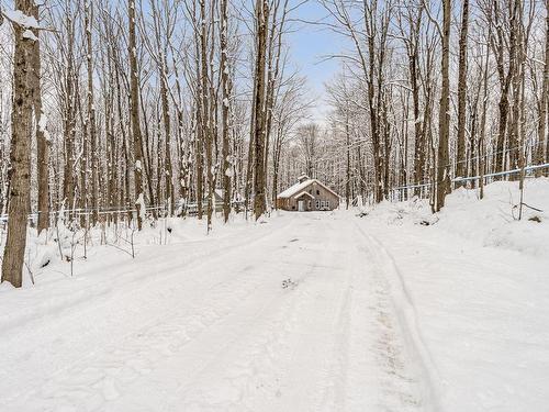 ExtÃ©rieur - 61Z Ch. Bonnaly, Orford, QC - Outdoor