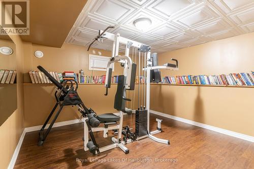 2825 Ib & O Rail Trail, Highlands East, ON - Indoor Photo Showing Gym Room