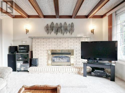 2047 Hamilton Road, London, ON - Indoor Photo Showing Living Room With Fireplace