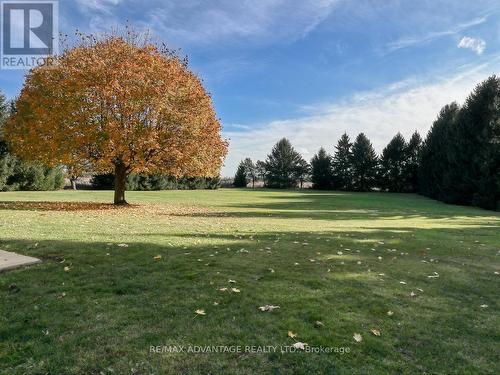 2047 Hamilton Road, London, ON - Outdoor