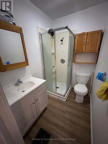 4869 Second Avenue, Niagara Falls (211 - Cherrywood), ON - Indoor Photo Showing Bathroom