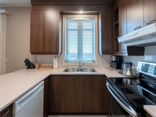 Kitchen - 309-9540 Boul. Rivard, Brossard, QC - Indoor Photo Showing Kitchen With Double Sink