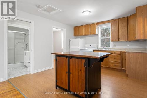 196 Erie Street W, Collingwood, ON - Indoor Photo Showing Kitchen